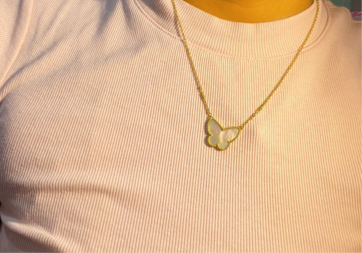Ley-Mariposa 🦋