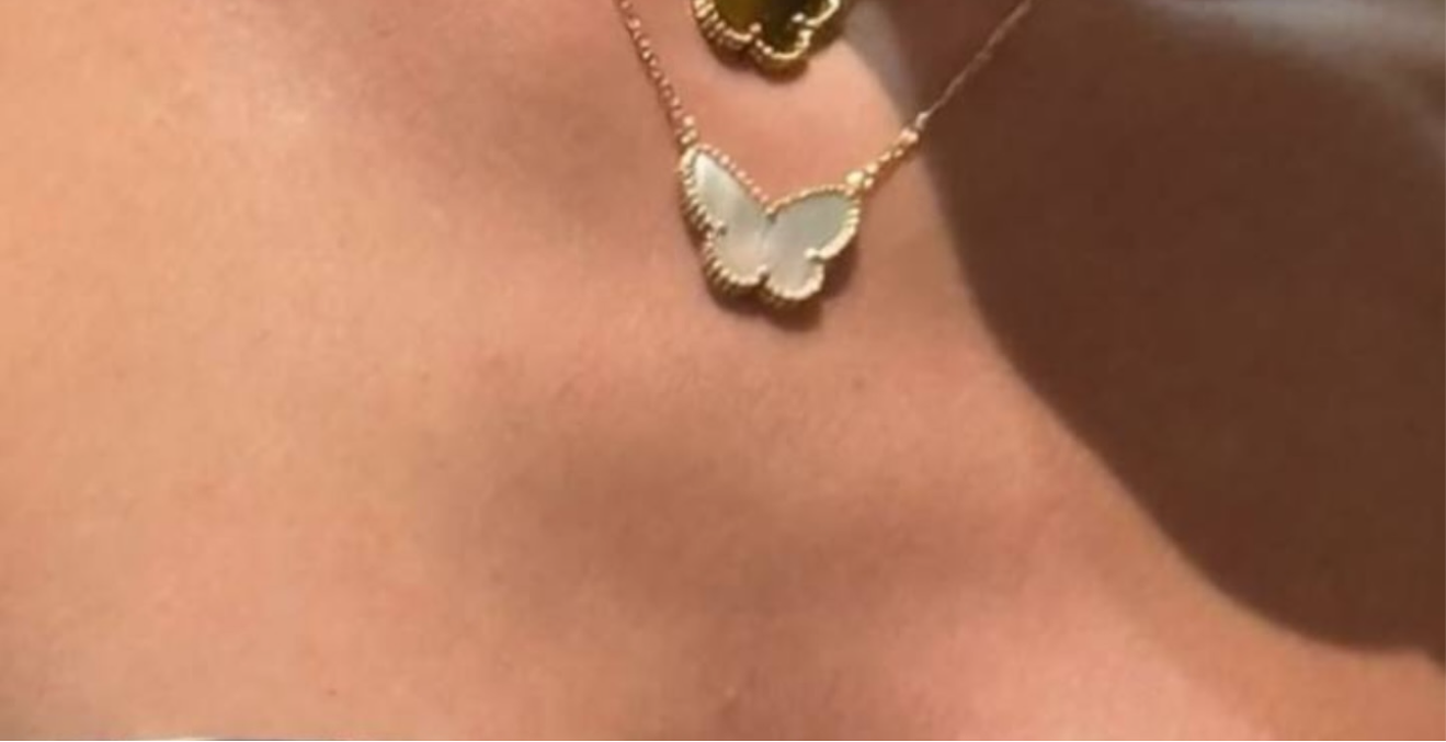 Ley-Mariposa 🦋