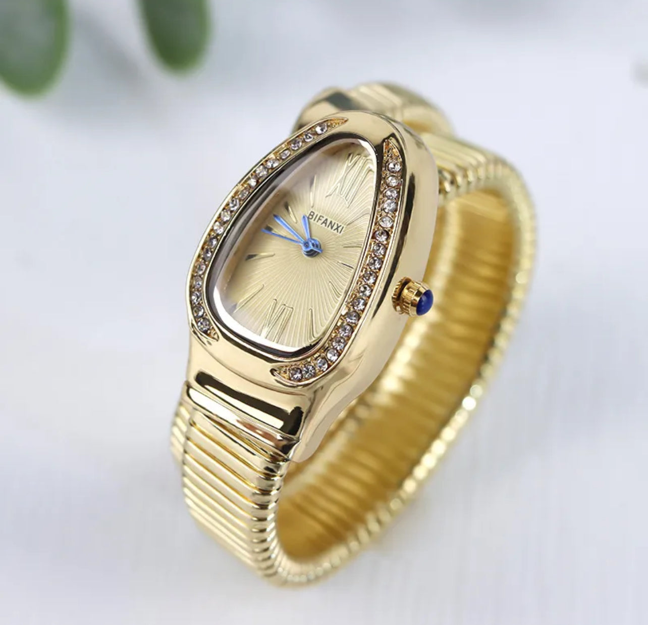 Spiral Watch